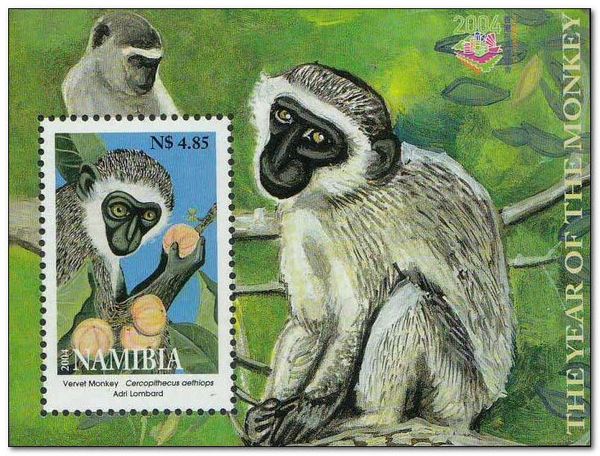Vervet Monkey (Cercopithecus aethiops)
