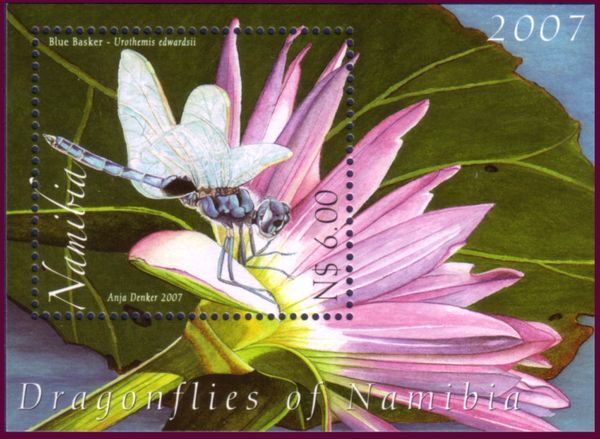 Urothemis edwardsii