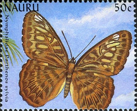 Clipper (Parthenos sylvia)