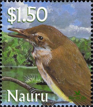 Nauru Reed Warbler (Acrocephalus rehsei)