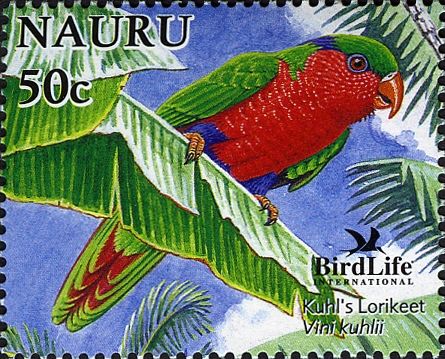 Kuhl's Lorikeet (Vini kuhlii)