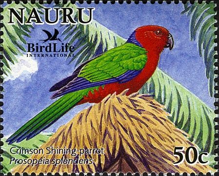 Crimson Shining-parrot (Prosopeia splendens)