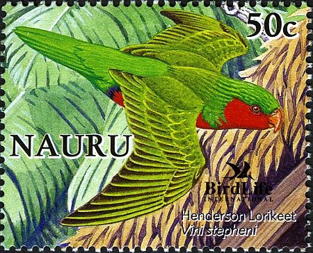 Henderson Lorikeet (Vini stepheni)