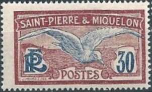 Glaucous Gull (Larus hyperboreus)