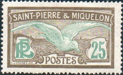 Glaucous Gull (Larus hyperboreus)