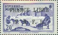 Team of Dogs overprinted