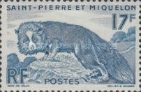 Silvery Fox