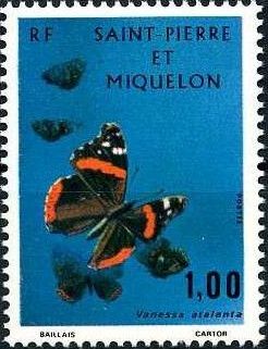Red Admiral (Vanessa atalanta)