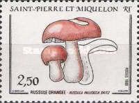 Russule Orange (Russula paludosa britz)