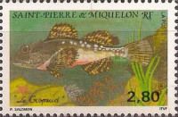 Short-spined Sea Scorpion (Myoxocephalus scorpius)