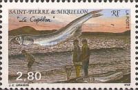 Capelin (Mallotus villosus)
