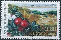 La Graine Rouge (Vaccinium vitis idaea)