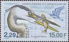 Great Blue Heron (Ardea herodias)