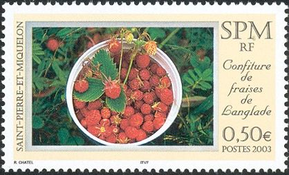 Strawberry Jam in Langlade