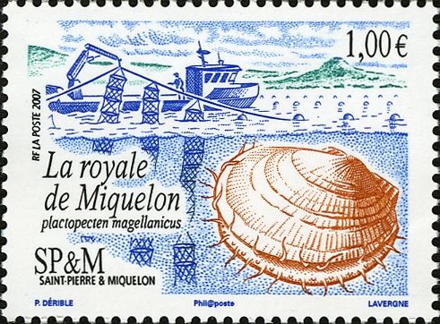 Coquille Saint-Jacques, Bateau,