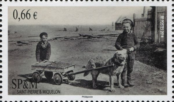Dogteams