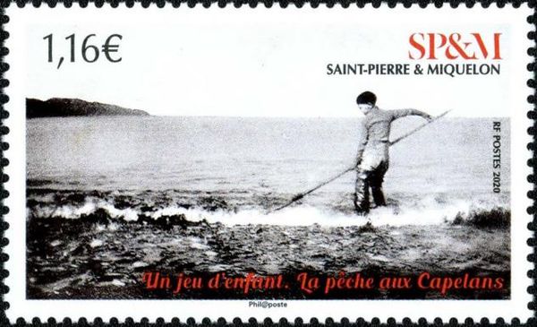 Daily Life in Old Miquelon