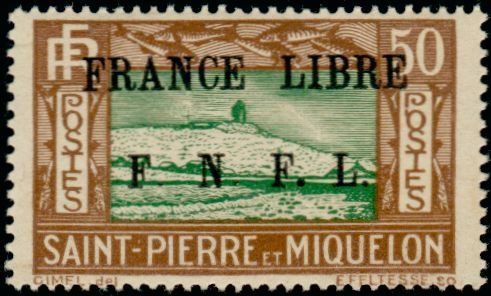 Atlantic Cod (Gadus morrhua) overprint