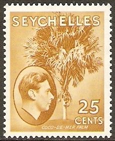 Coco de Mer Palm