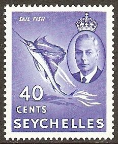 Indo-pacific Sailfish (Istiophorus platypterus)