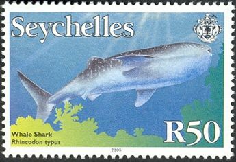 Whale Shark (Rhincodon typus)