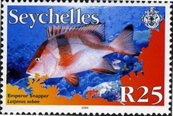 Emperor Snapper (Lutjanus sebae)