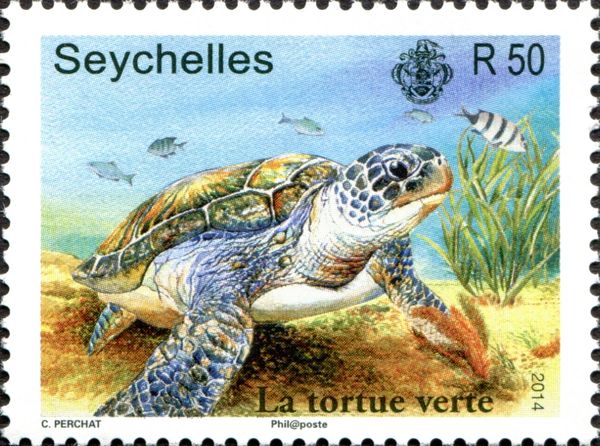 Green Turtle