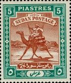 Postman with Dromedary (Camelus dromedarius)