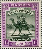 Postman with Dromedary (Camelus dromedarius)
