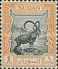 Nubian ibex (Capra nubiana)