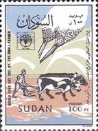 Ox Drawn Plow