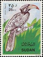 Zande Hornbill (Tockus fasciatus)