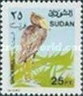 Shoebill (Balaeniceps rex)