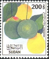 Citrus paradisi