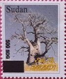 Baobab Tree (Adansonia digitata) - Surcharged