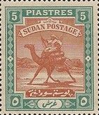 Postman with Dromedary (Camelus dromedarius)