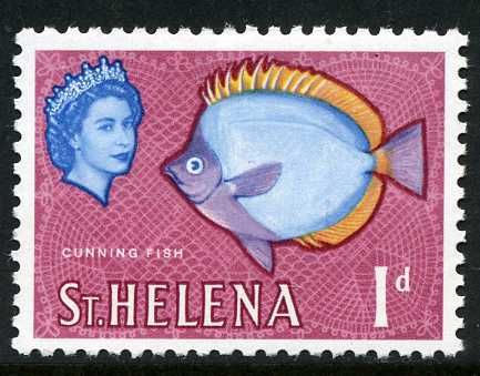Cunningfish (Chaetodon sanctaehelenae)