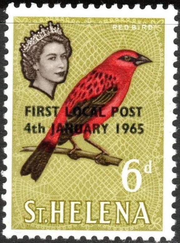 Red Bird (Foudia madagascariensis) - overprinted