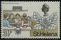 Cabbage-tree and schools broadcasting