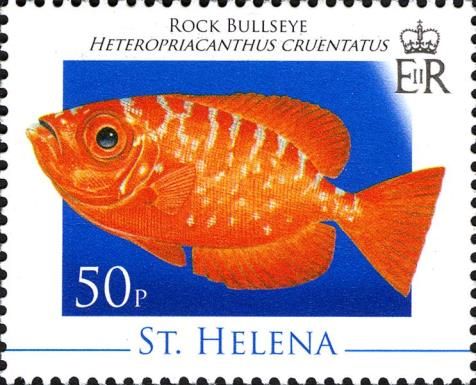 Rock bullseye (Heteropriacanthus cruentatus)