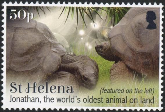 Jonathan The Oldest Living Tortoise