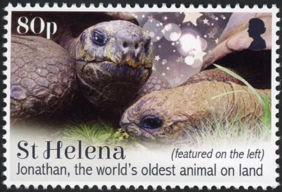 Jonathan The Oldest Living Tortoise