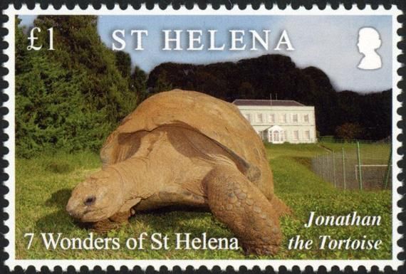 Jonathan The Tortoise
