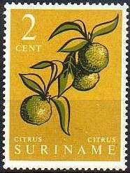 Citrus Fruit