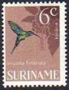 "Amazilia fimbriata" (See Description)