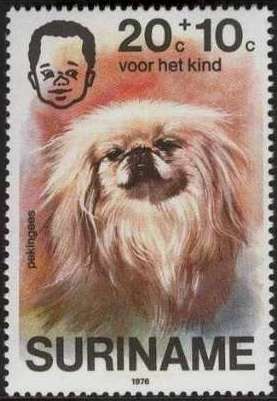 Pekingese