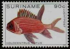 Holocentrus rufus