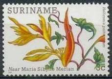 Parrot Heliconia (Heliconia psittacorum)