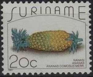 Pineapple (Ananas comosus)