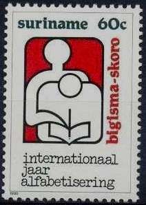 Literacy Year